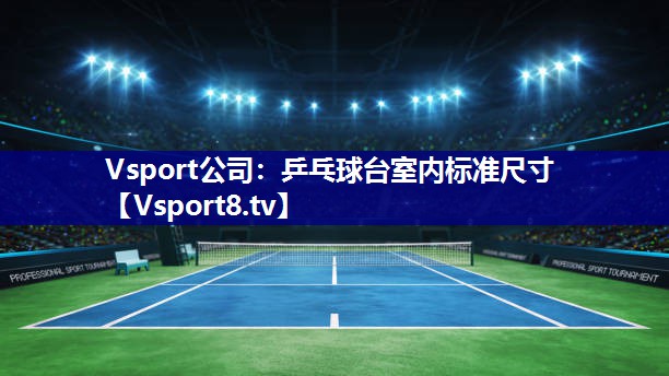 Vsport公司：乒乓球台室内标准尺寸