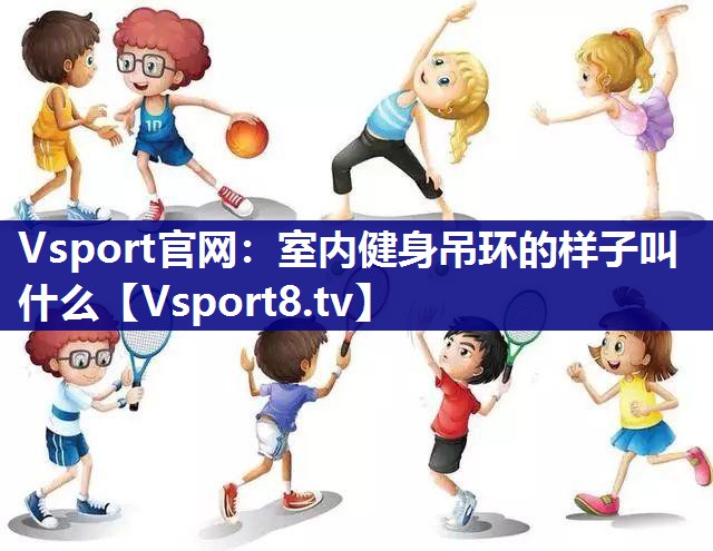 Vsport官网：室内健身吊环的样子叫什么