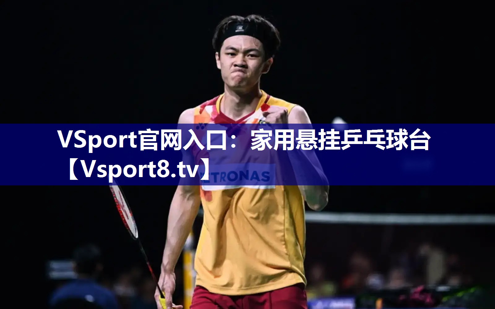VSport官网入口：家用悬挂乒乓球台