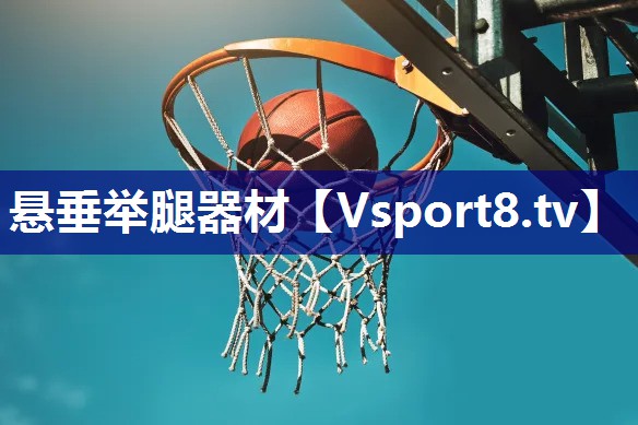 悬垂举腿器材