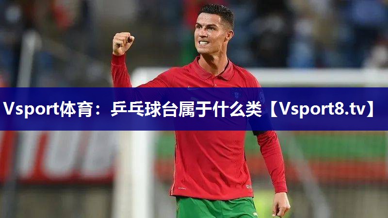 Vsport体育：乒乓球台属于什么类