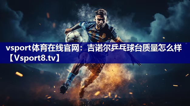 vsport体育在线官网：吉诺尔乒乓球台质量怎么样