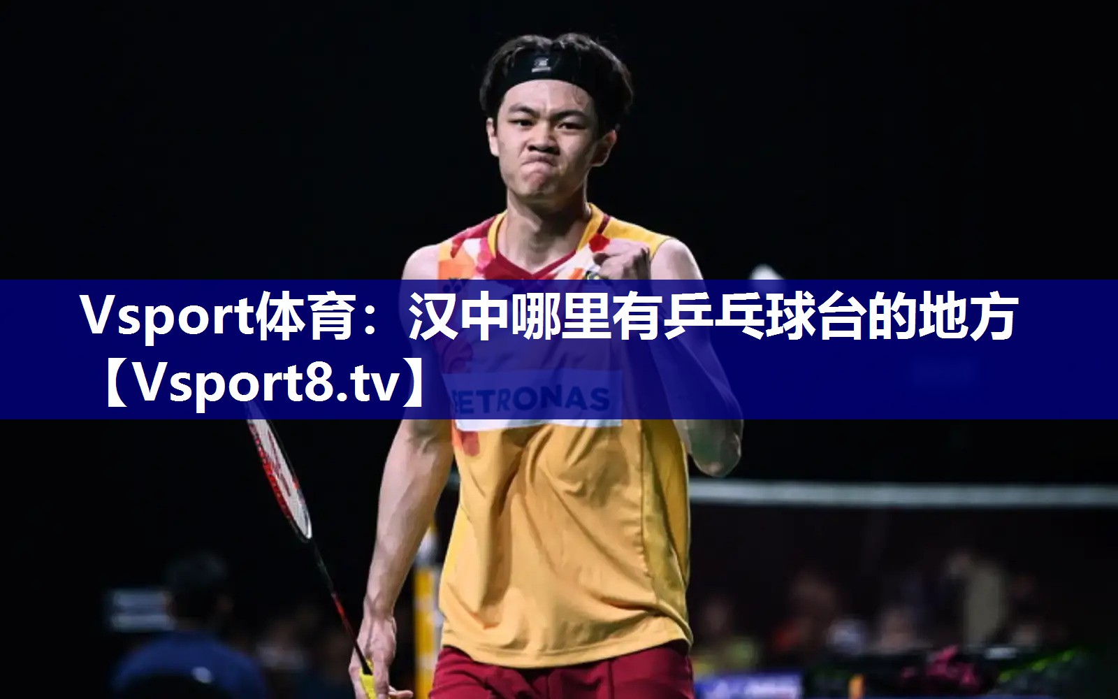 Vsport体育：汉中哪里有乒乓球台的地方