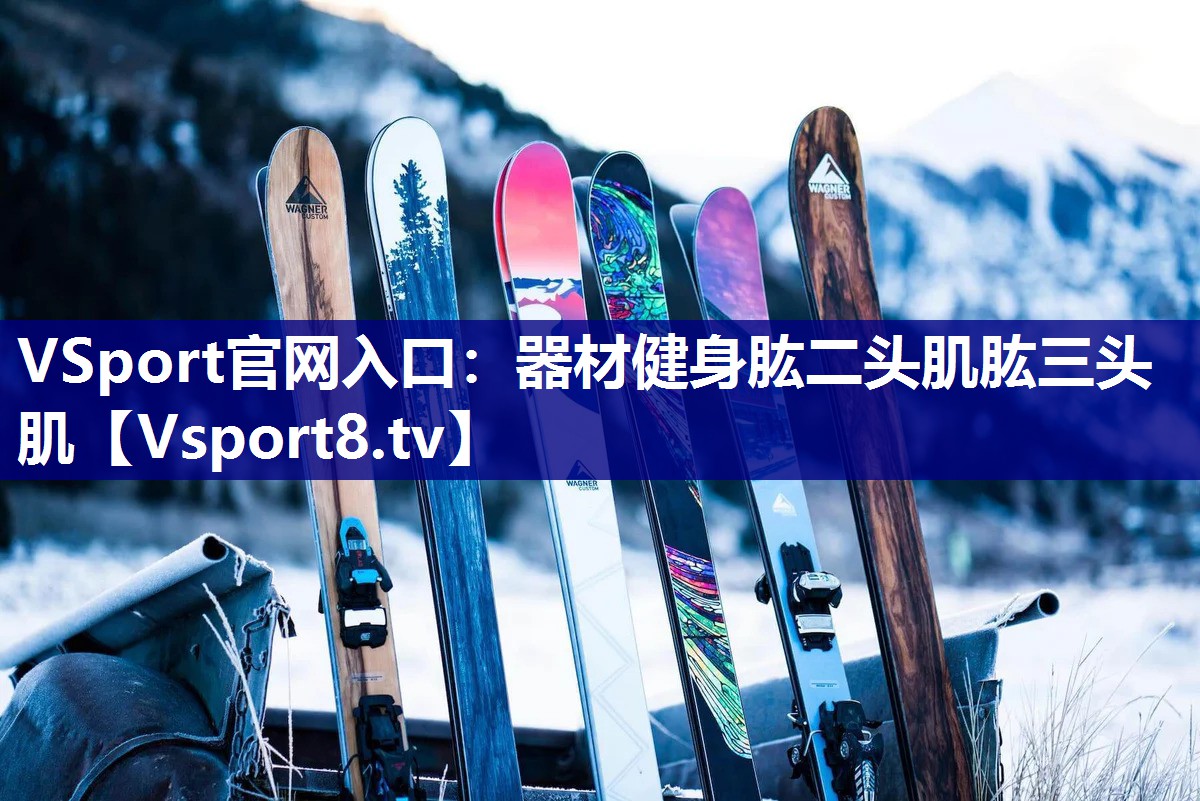 VSport官网入口：器材健身肱二头肌肱三头肌