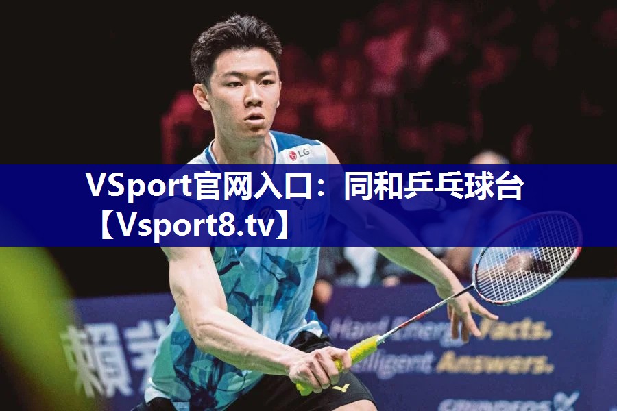 VSport官网入口：同和乒乓球台