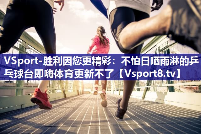 VSport-胜利因您更精彩：不怕日晒雨淋的乒乓球台即嗨体育更新不了