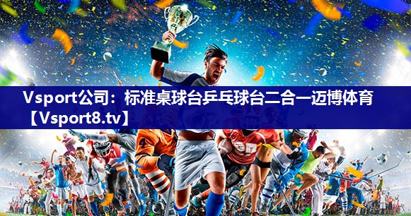 Vsport公司：标准桌球台乒乓球台二合一迈博体育