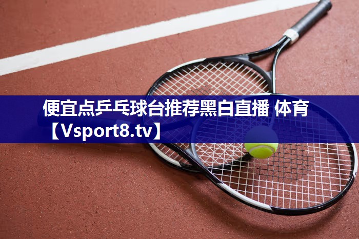 便宜点乒乓球台推荐黑白直播 体育
