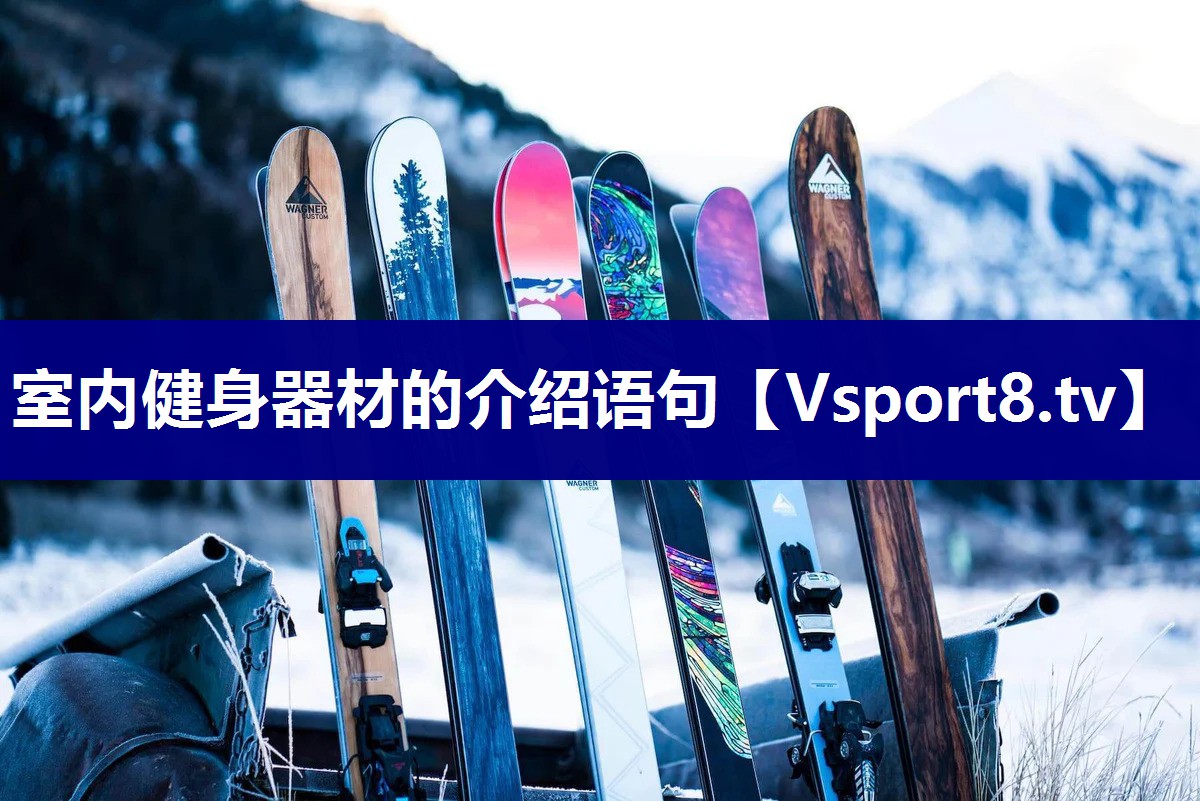 室内健身器材的介绍语句