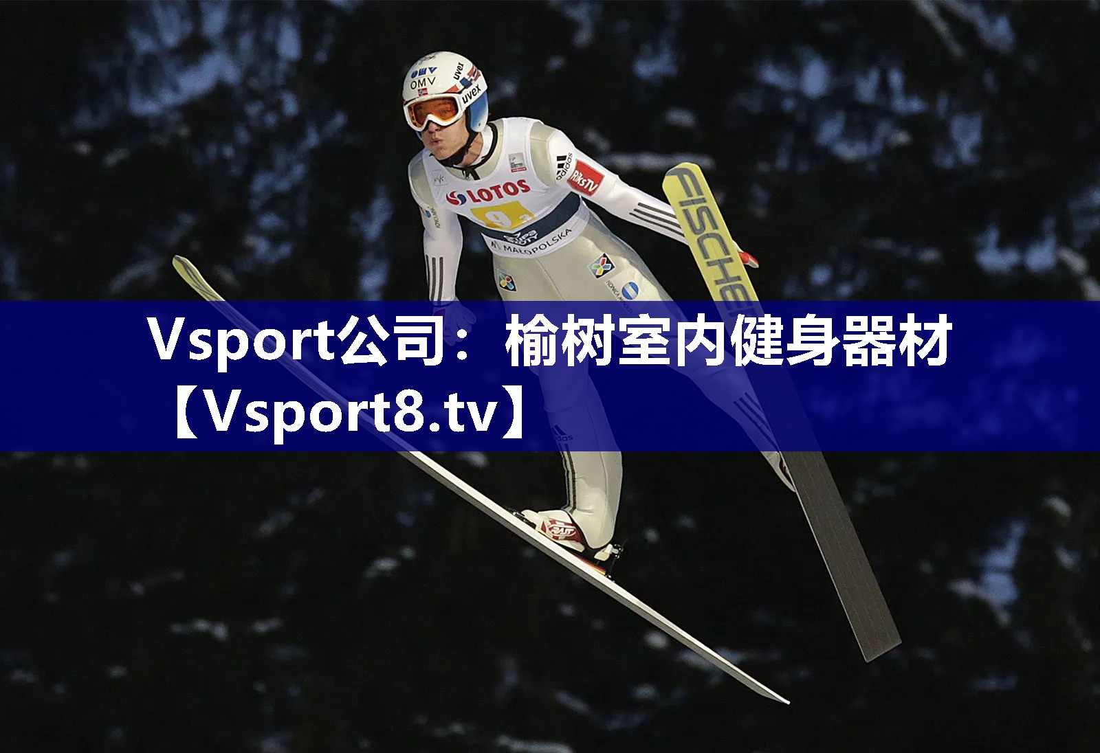 Vsport公司：榆树室内健身器材