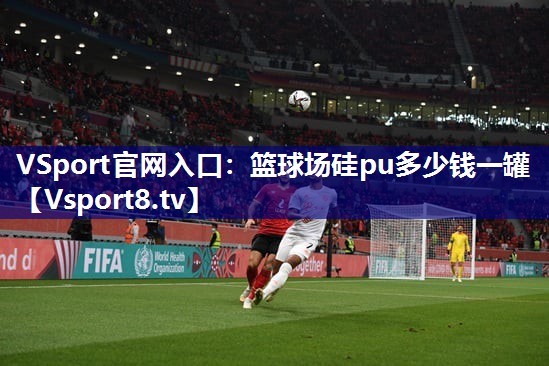 VSport官网入口：篮球场硅pu多少钱一罐
