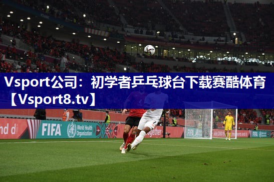 Vsport公司：初学者乒乓球台下载赛酷体育
