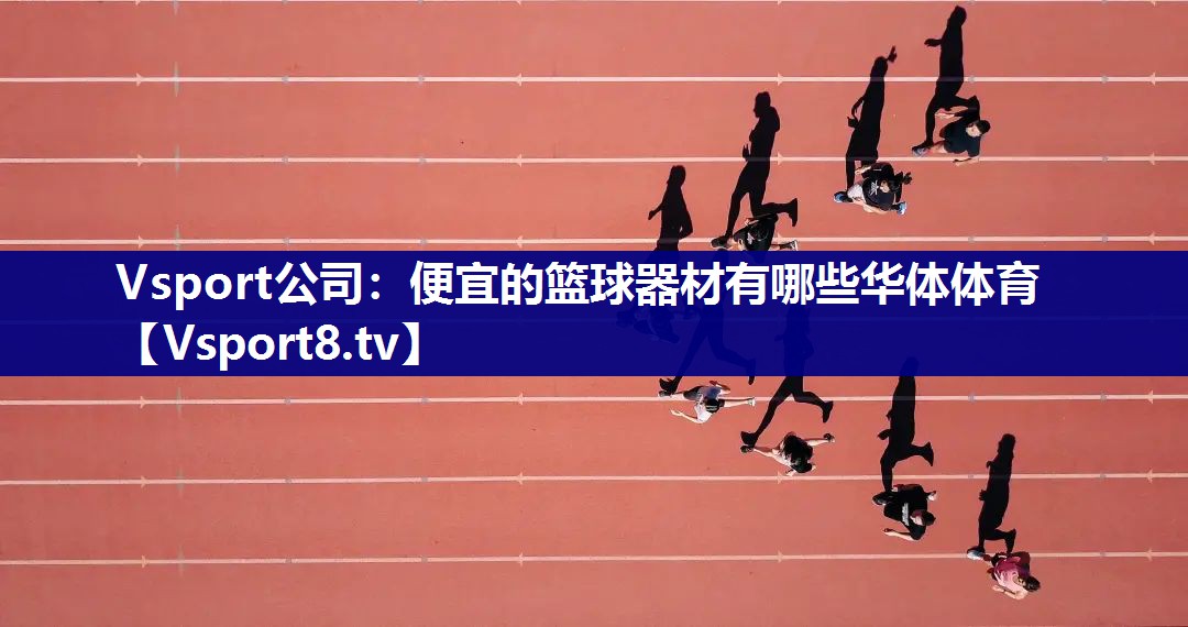Vsport公司：便宜的篮球器材有哪些华体体育