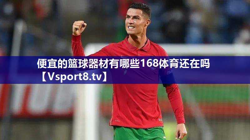 便宜的篮球器材有哪些168体育还在吗