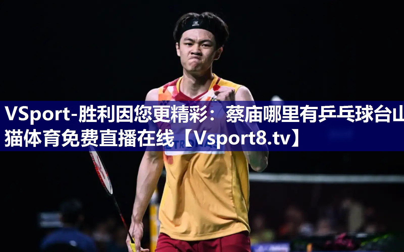 VSport-胜利因您更精彩：蔡庙哪里有乒乓球台山猫体育免费直播在线