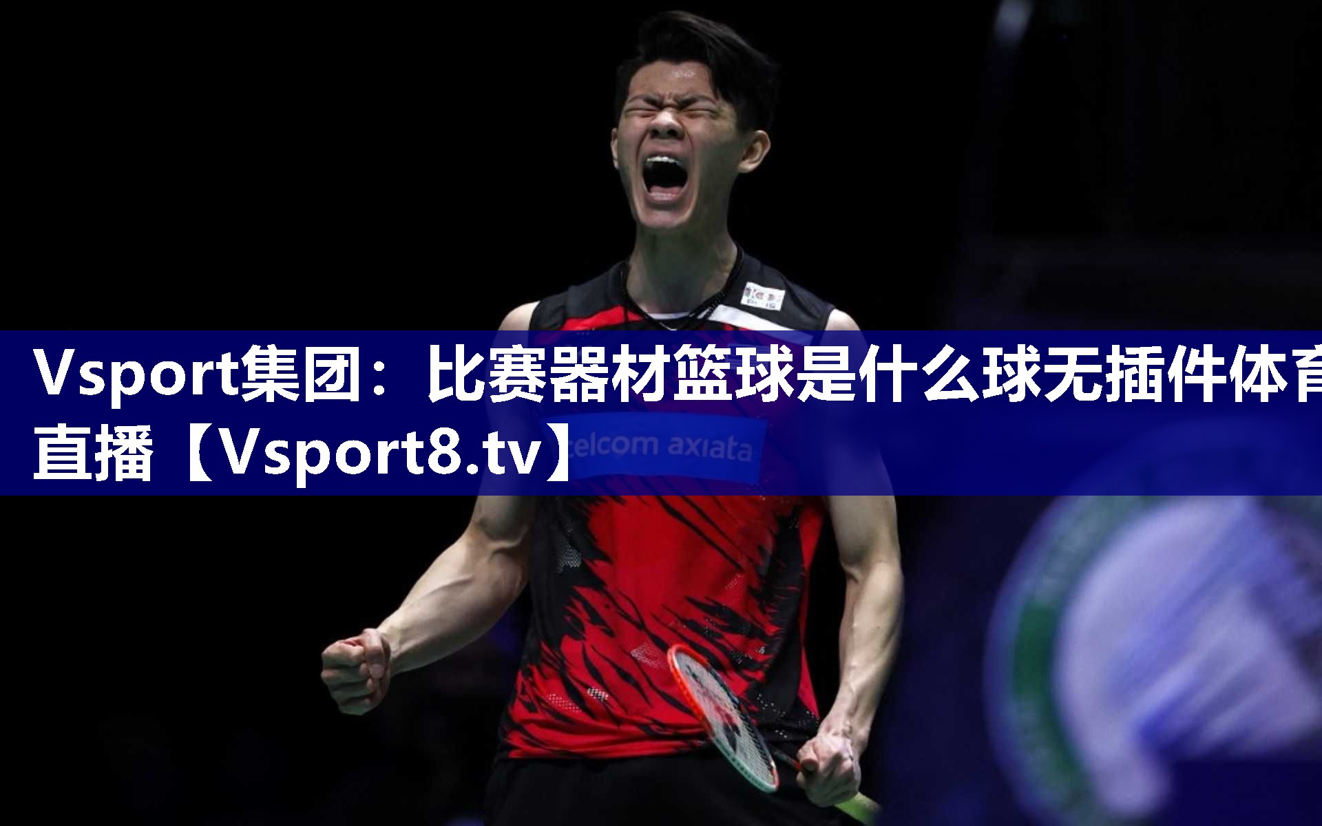 Vsport集团：比赛器材篮球是什么球无插件体育直播