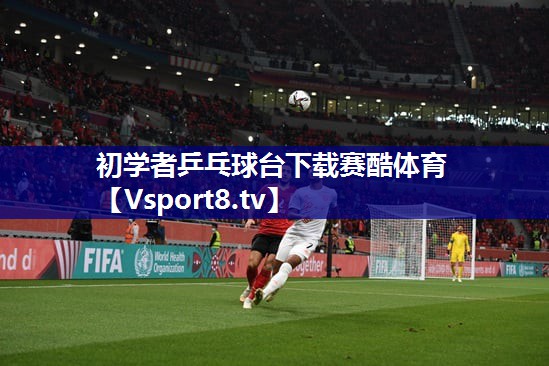 初学者乒乓球台下载赛酷体育