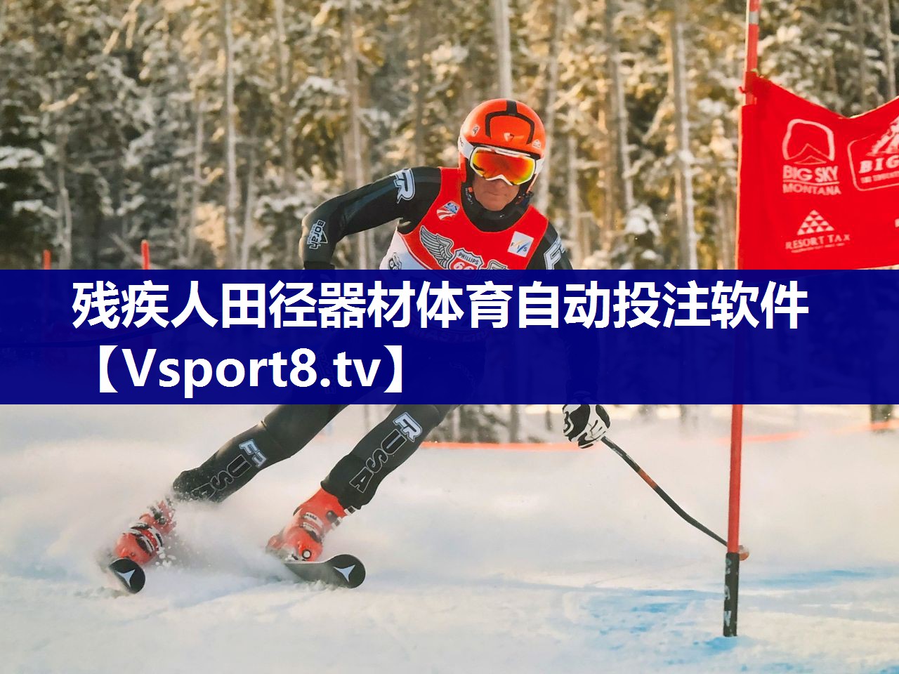 残疾人田径器材体育自动投注软件