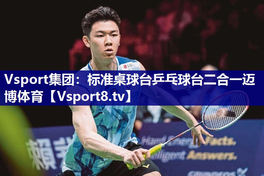 Vsport集团：标准桌球台乒乓球台二合一迈博体育