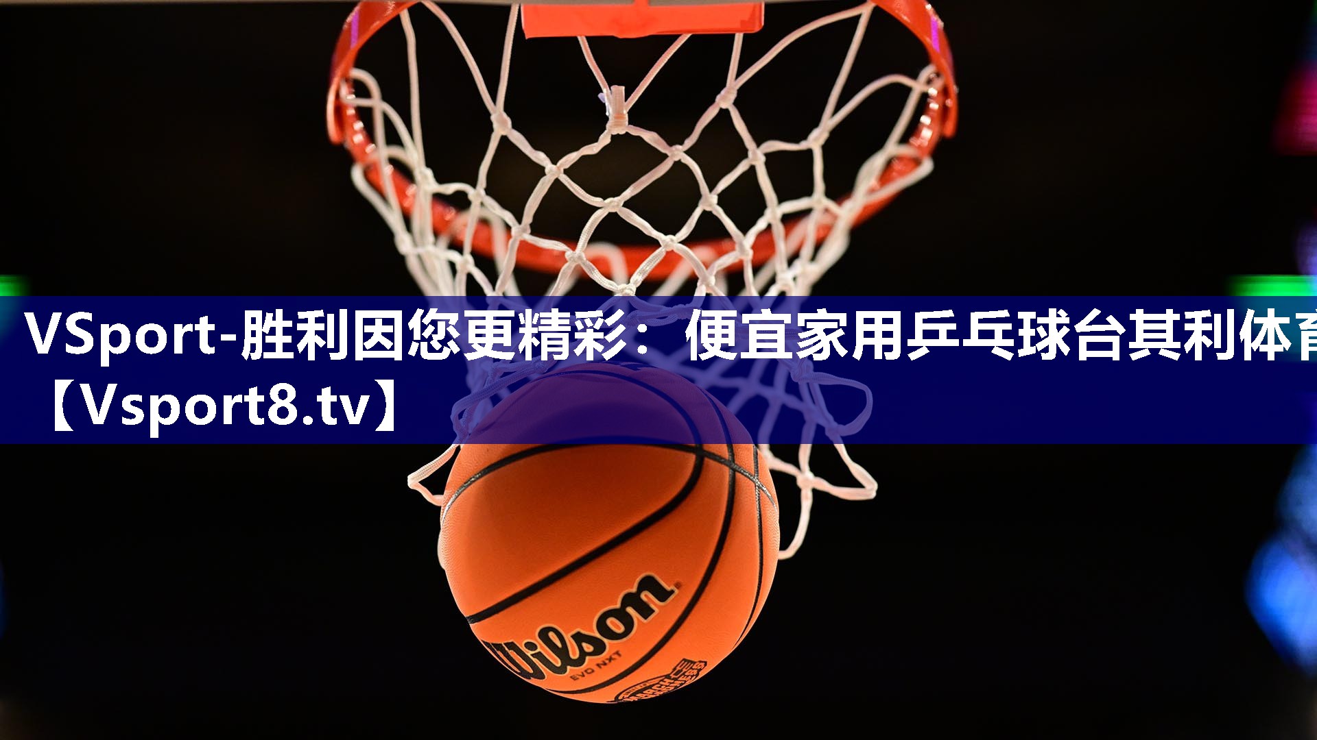 VSport-胜利因您更精彩：便宜家用乒乓球台其利体育