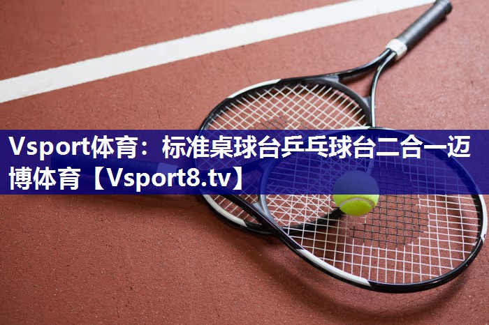 Vsport体育：标准桌球台乒乓球台二合一迈博体育