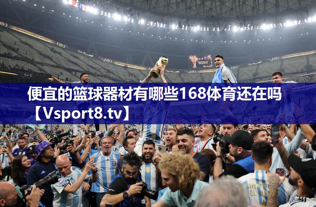 便宜的篮球器材有哪些168体育还在吗