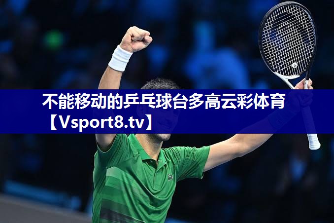 不能移动的乒乓球台多高云彩体育