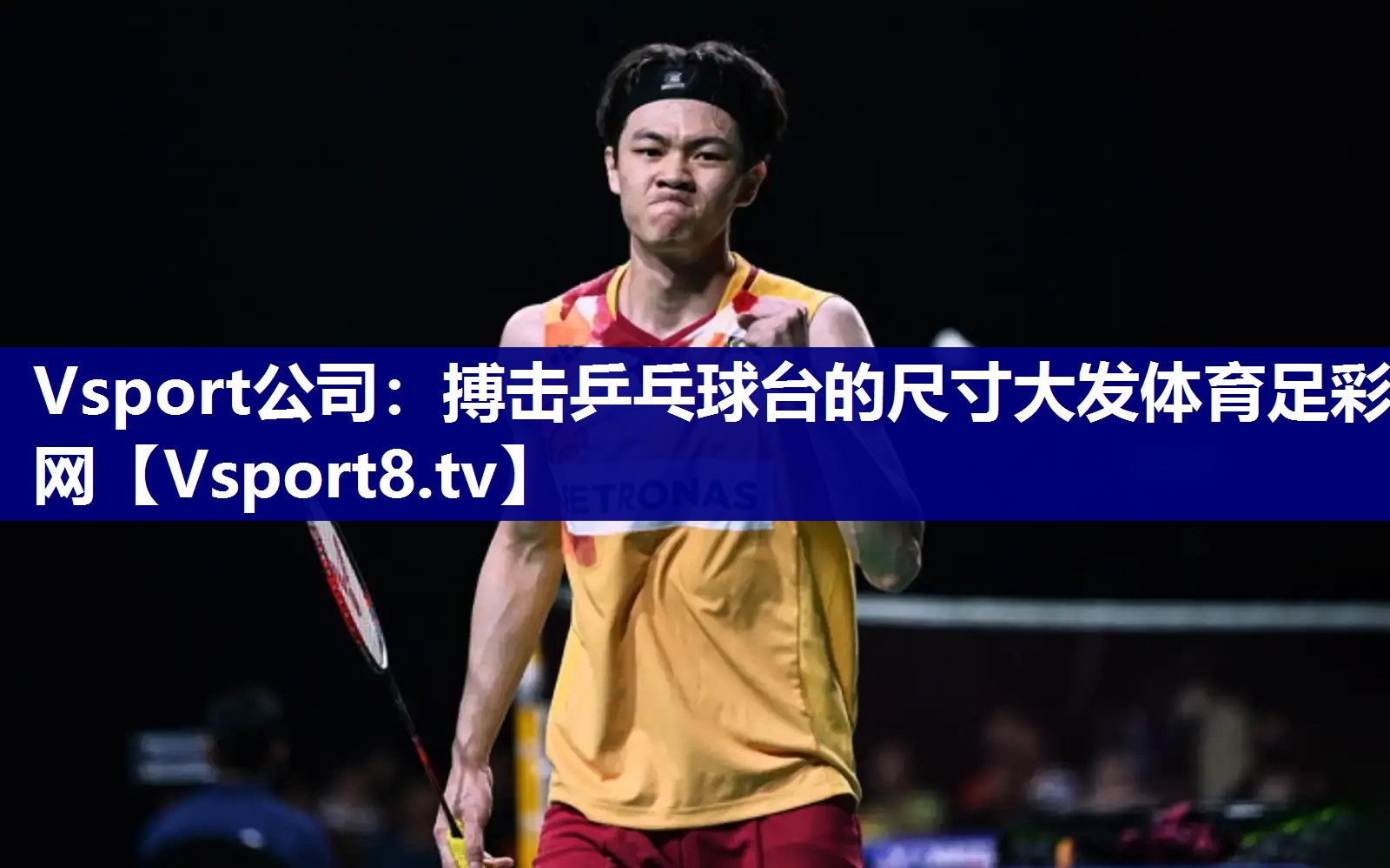 Vsport公司：搏击乒乓球台的尺寸大发体育足彩网