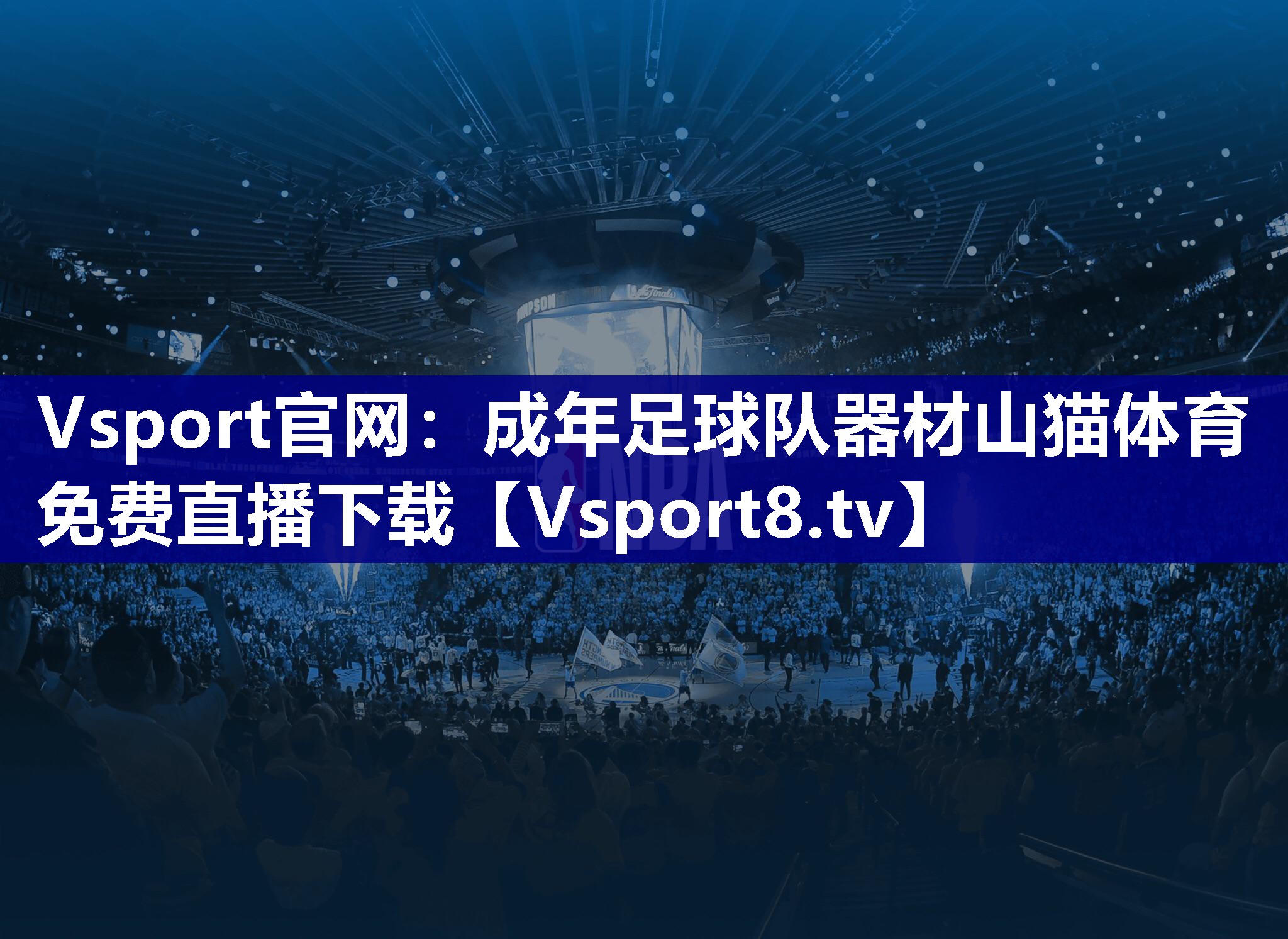 Vsport官网：成年足球队器材山猫体育免费直播下载