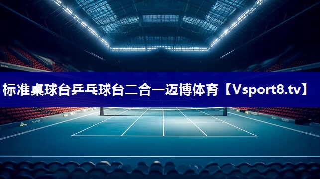 标准桌球台乒乓球台二合一迈博体育