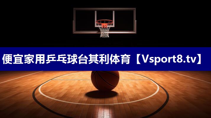 便宜家用乒乓球台其利体育