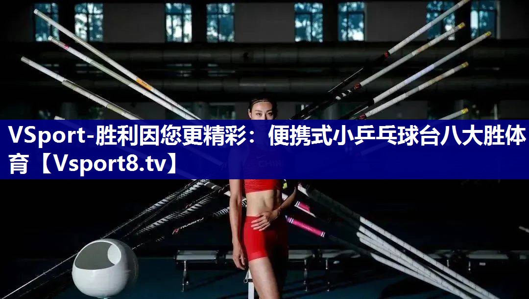 VSport-胜利因您更精彩：便携式小乒乓球台八大胜体育