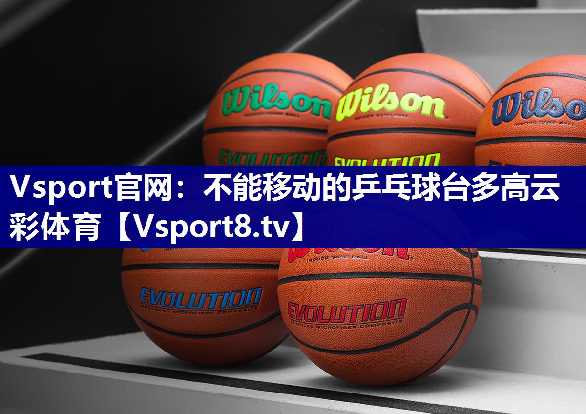 Vsport官网：不能移动的乒乓球台多高云彩体育