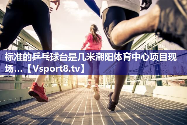 标准的乒乓球台是几米潮阳体育中心项目现场…