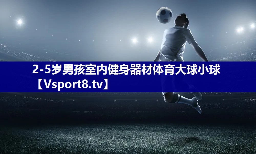 2-5岁男孩室内健身器材体育大球小球
