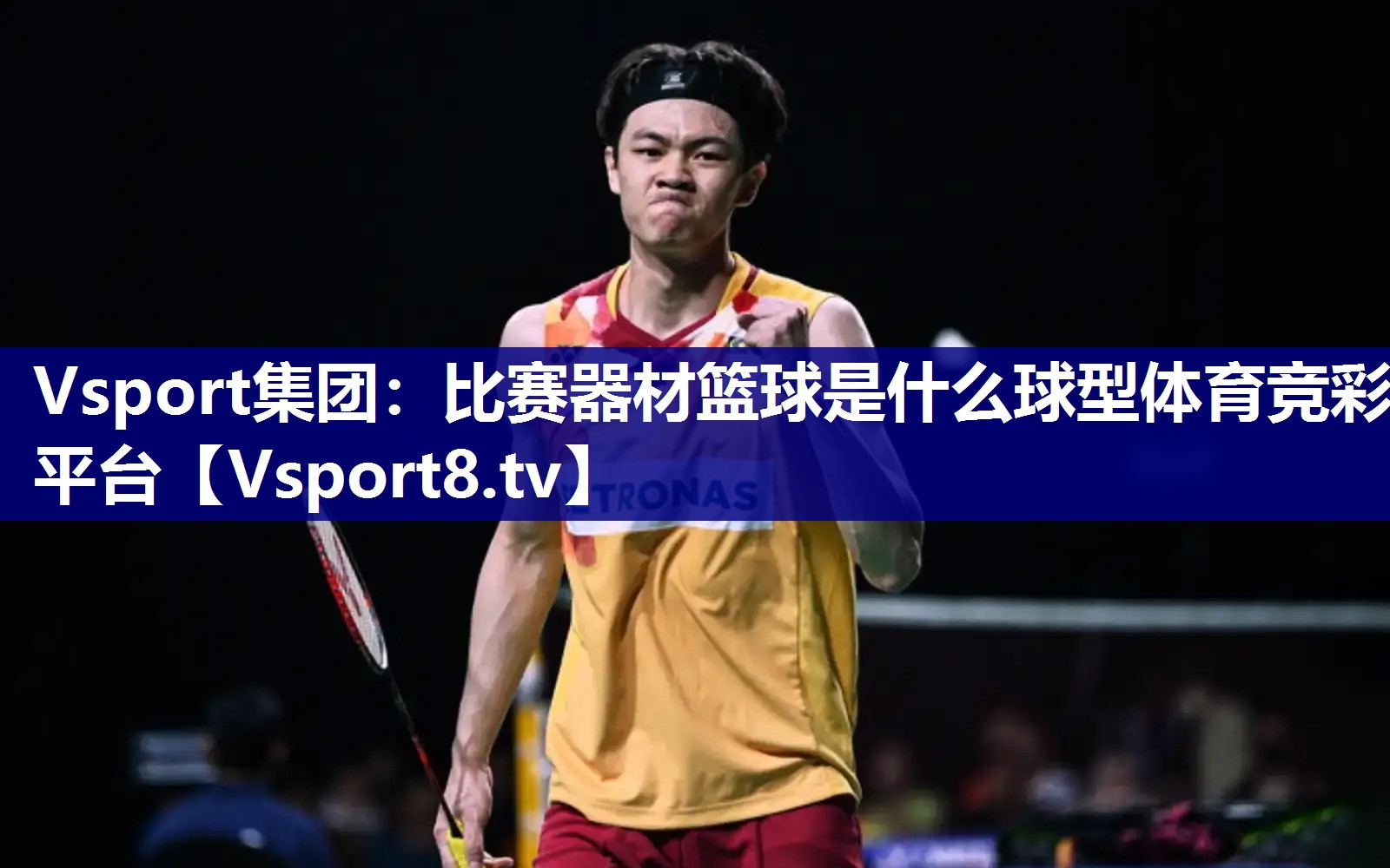 Vsport集团：比赛器材篮球是什么球型体育竞彩平台