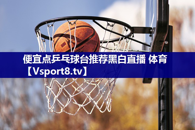 便宜点乒乓球台推荐黑白直播 体育