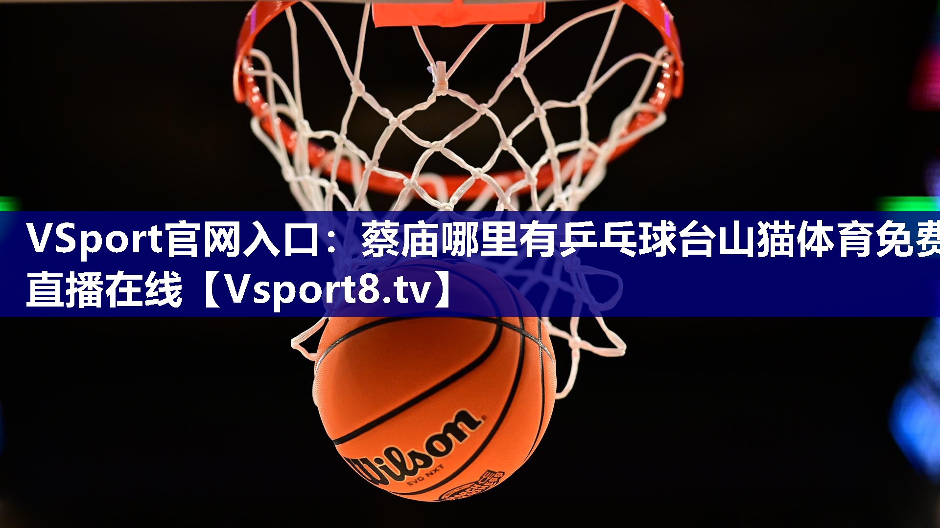 VSport官网入口：蔡庙哪里有乒乓球台山猫体育免费直播在线