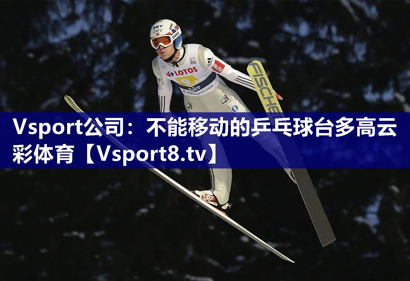 Vsport公司：不能移动的乒乓球台多高云彩体育