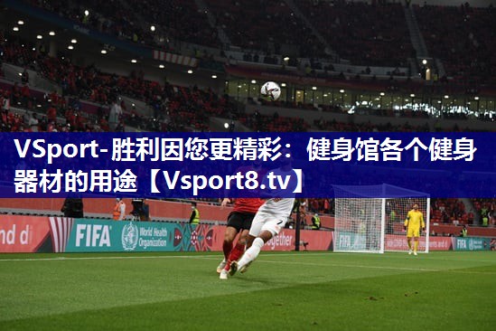 VSport-胜利因您更精彩：健身馆各个健身器材的用途