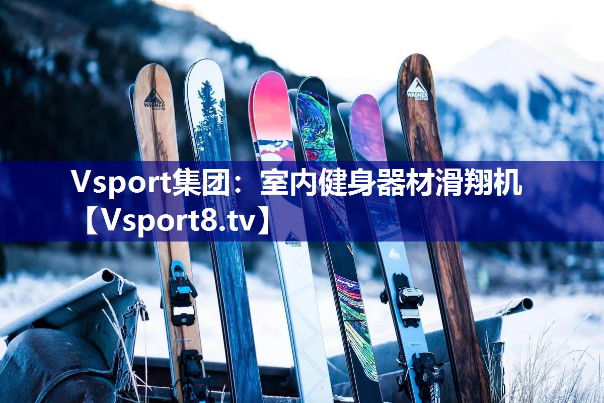 Vsport集团：室内健身器材滑翔机