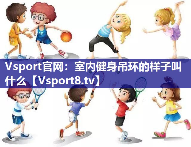 室内健身吊环的样子叫什么