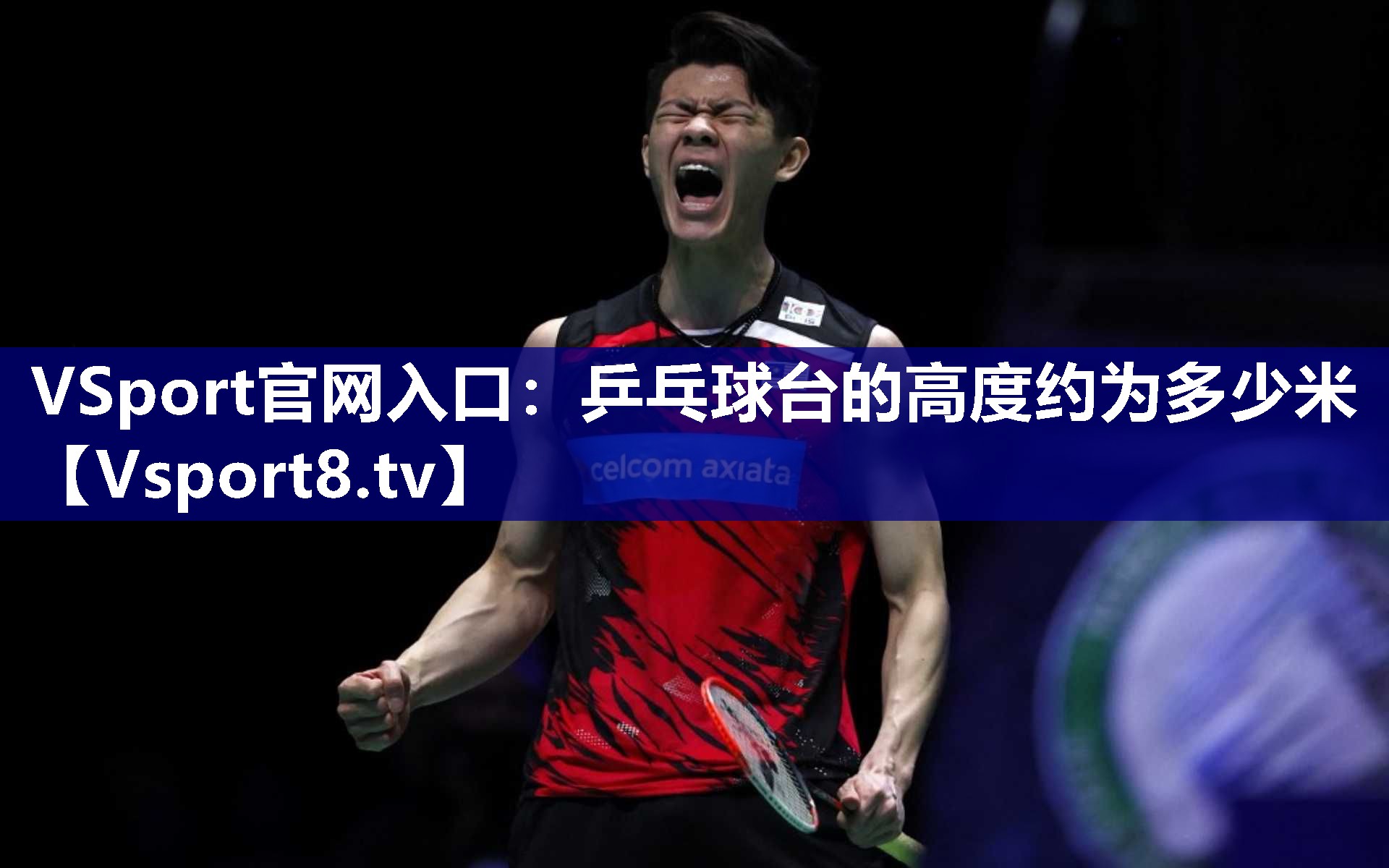 乒乓球台的高度约为多少米