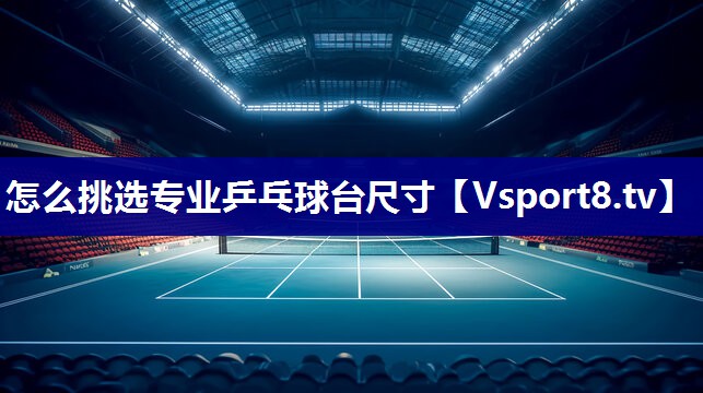 怎么挑选专业乒乓球台尺寸