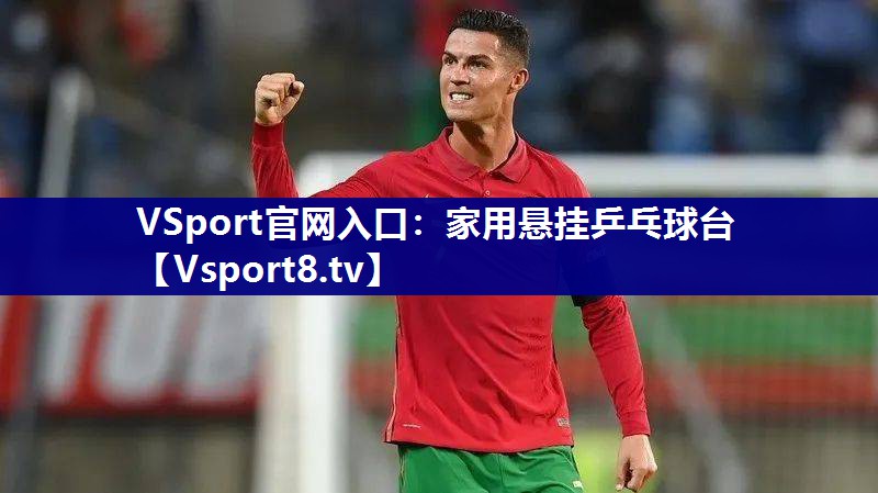 家用悬挂乒乓球台