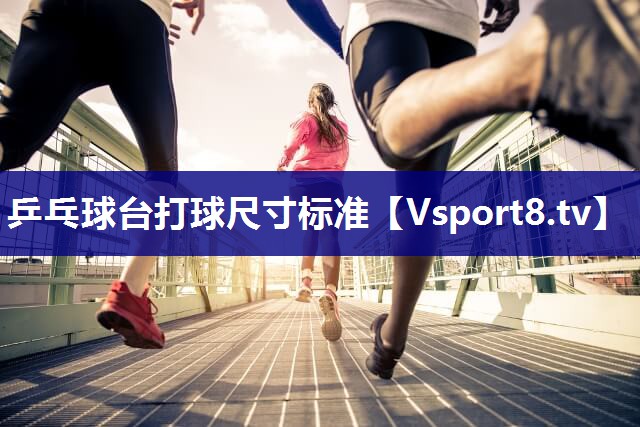 乒乓球台打球尺寸标准