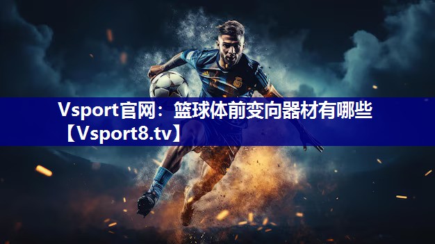 篮球体前变向器材有哪些